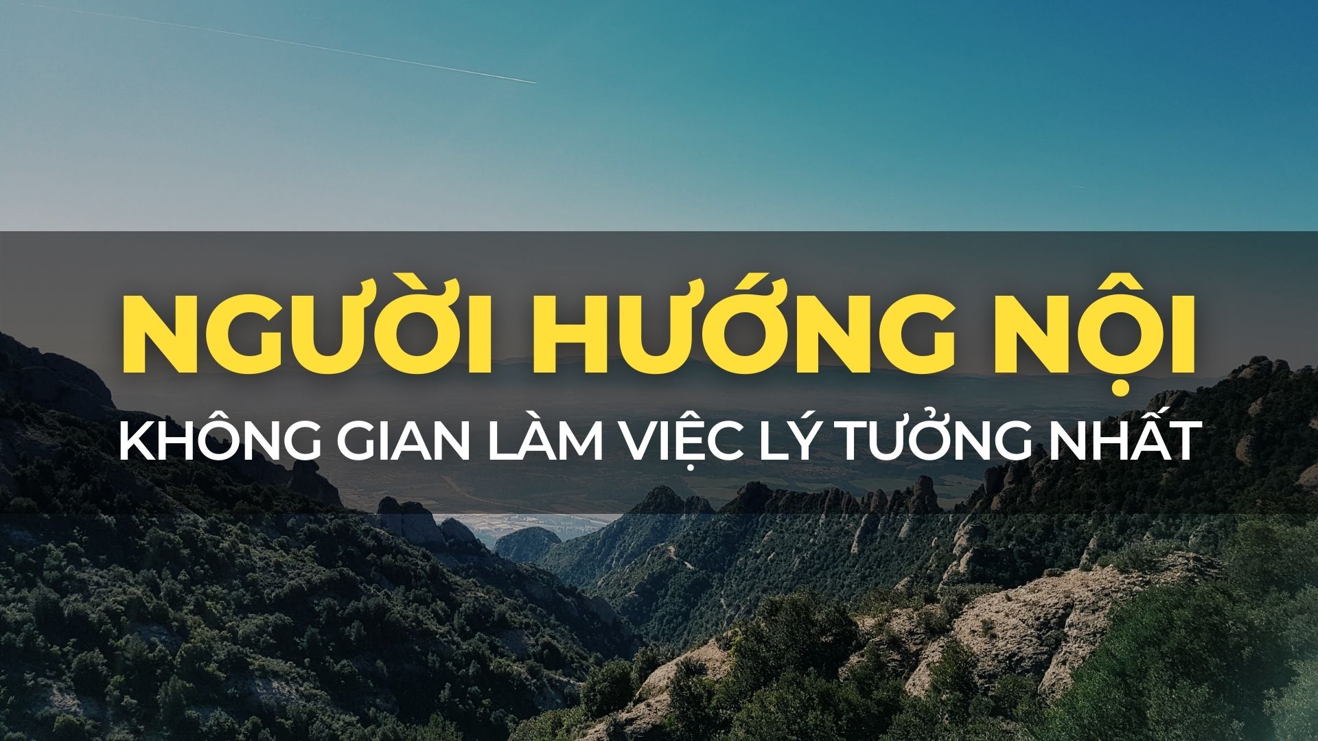 Không Gian Làm Việc Cho Người Hướng Nội? 1 Nguyên Tắc Quan Trọng Bạn Cần Biết